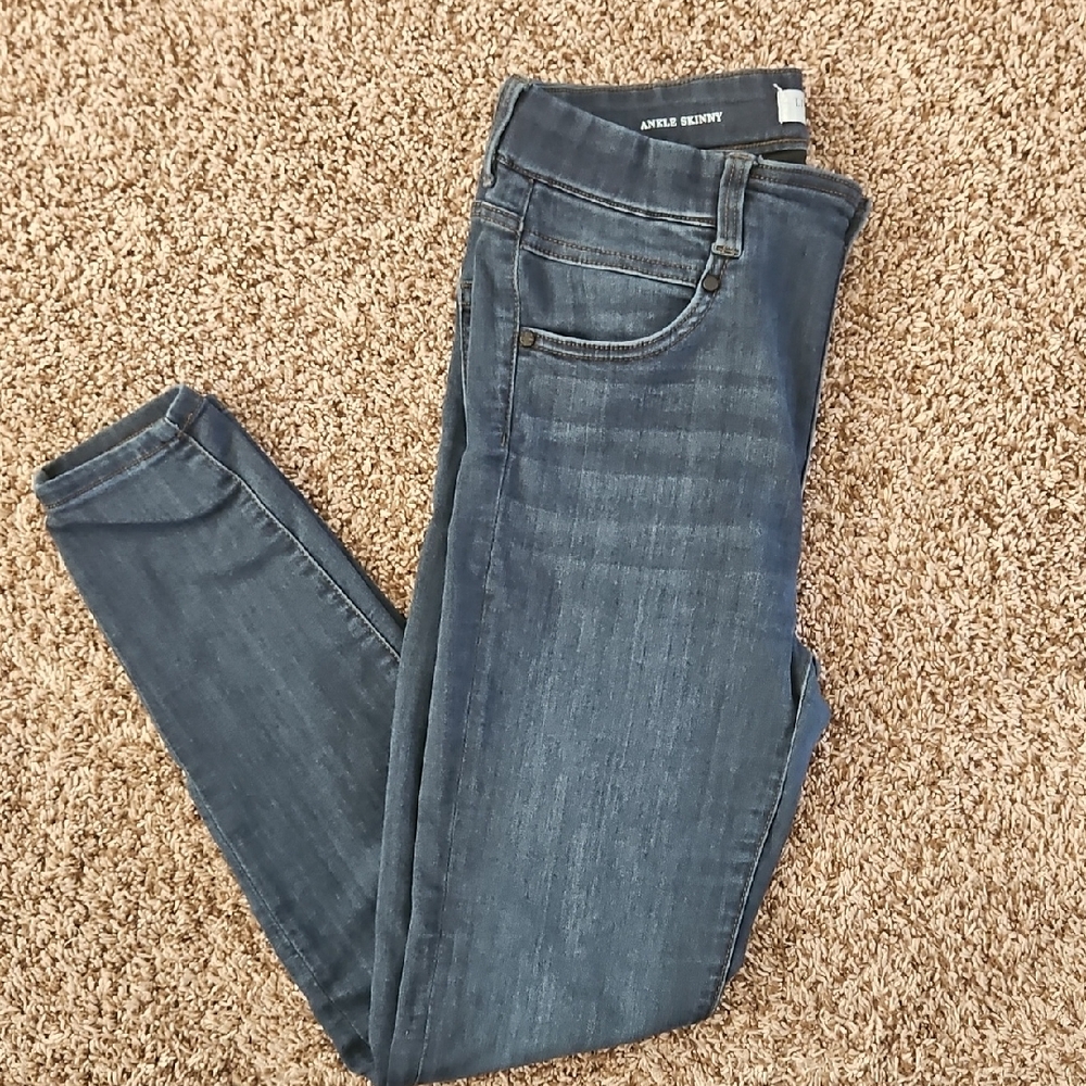 Liverpool Indigo Ankle Skinny Jeans